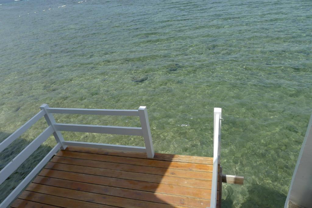 Bluefins Resort Île de Mactan Extérieur photo